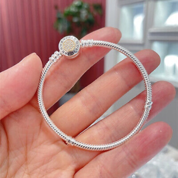 Pandora Jewelry - Pandora charm bracelet